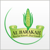 Strategic partner